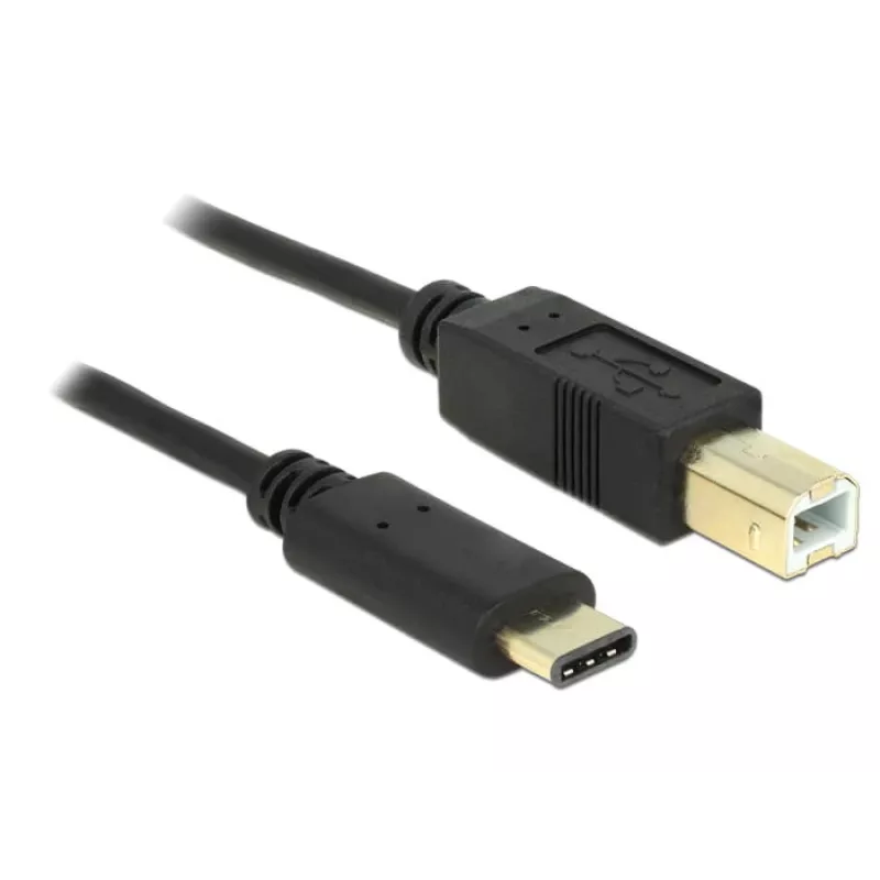 USB-kaabel DeLOCK 2m USB2.0-C/USB2.0-B