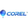 Corel PaintShop Pro 2023 - Box-Pack - 1 kasutaja (Mini-Box) - Win - Mitmekeelne - Euroopa