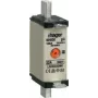Hager LNH0032MK. Laius: 21 mm, Kõrgus: 79 mm (LNH0032MK)