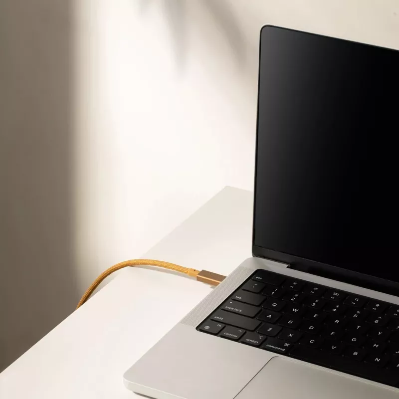 Kaabel USB-C–USB-C Native Union Belt kaabel Pro 240W, 2,4 m, USB 2.0, 0,48 Gbit/s, roheline