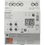 Võrgulüüs Jung 30128 1S DA2 R KNX DALI-2 Gateway Colour 2‑kanaliga