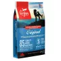 Orijen Originaal 6 kg Adult Chicken, Fish, Turkey