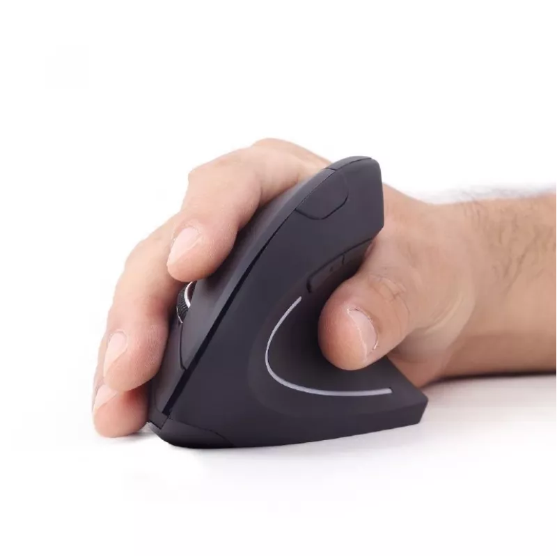 Gembird MUSW-ERGO-01 hiir paremakäeline RF-juhtmeta optiline 1600 DPI