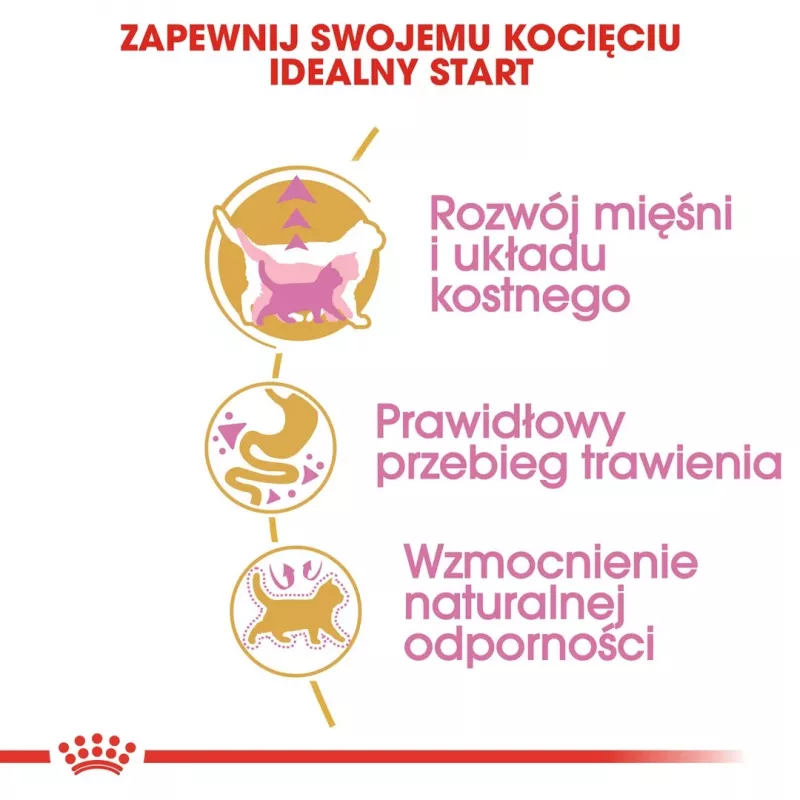 Kuiv kassitoit Royal Canin British Shorthair Kitten 2 kg – kana, 38% valku, 20% rasva, kasvuvalem