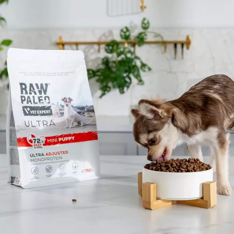 Kuiv koeratoit VETEXPERT RAW PALEO Ultra Mini Puppy Beef 2 kg — kuivkibble väikest tõugu kutsikatele, 30,5% valku, 16,5% rasva
