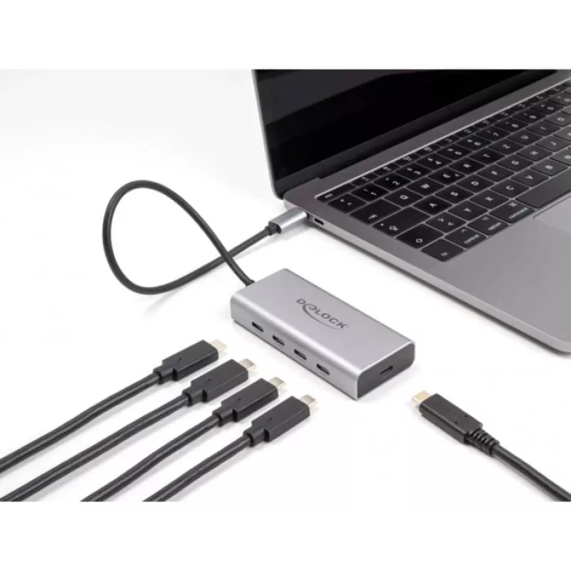 DeLOCK USB-jaotur 10 Gbps USB-C 4 porti PD 85W 30 cm kaabel