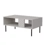 Kohvilaud Cama LUCCA pink/laud 100x55x46 kašmiir, ristkülikukujuline hall pealispind