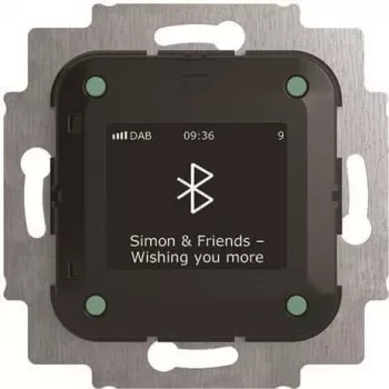 Busch-Jaeger Busch-Radio BTconnect DAB+ m.Bluetooth Schnitt. 8217 U-101 (2CKA008200A0278)