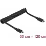 USB-kaabel DeLOCK 85350 USB 3.2 Gen 2 1,2 m USB-C must