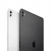Apple iPad 11-tolline Pro WiFi + Cellular 2TB Nano-tekstuuriga klaasiga - Hõbedane