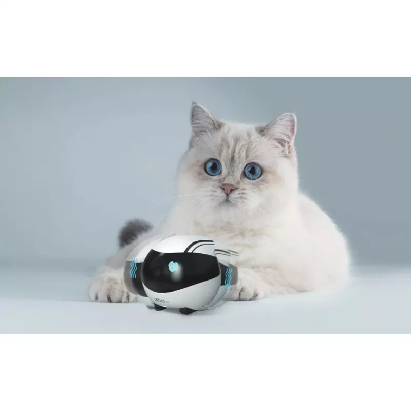 ENABOT Ebo Air AI Robot Valge ja Must