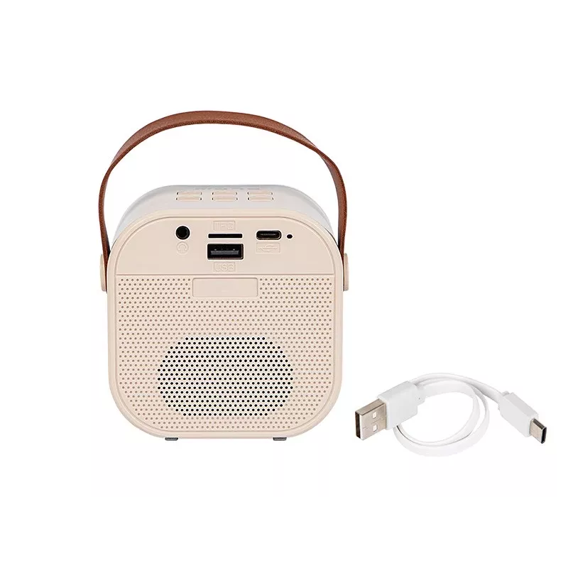 Karaoke kõlar, KARAOKE RGB Bluetooth kõlar, 30 W