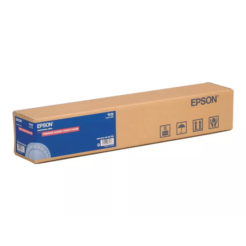 Epson Premium poolläikiv fotopaber rullis, 16 tolli x 30,5 m, 250 g/m²