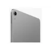 Apple iPad 11-tolline Air Wi-Fi 1TB - Kosmosehall