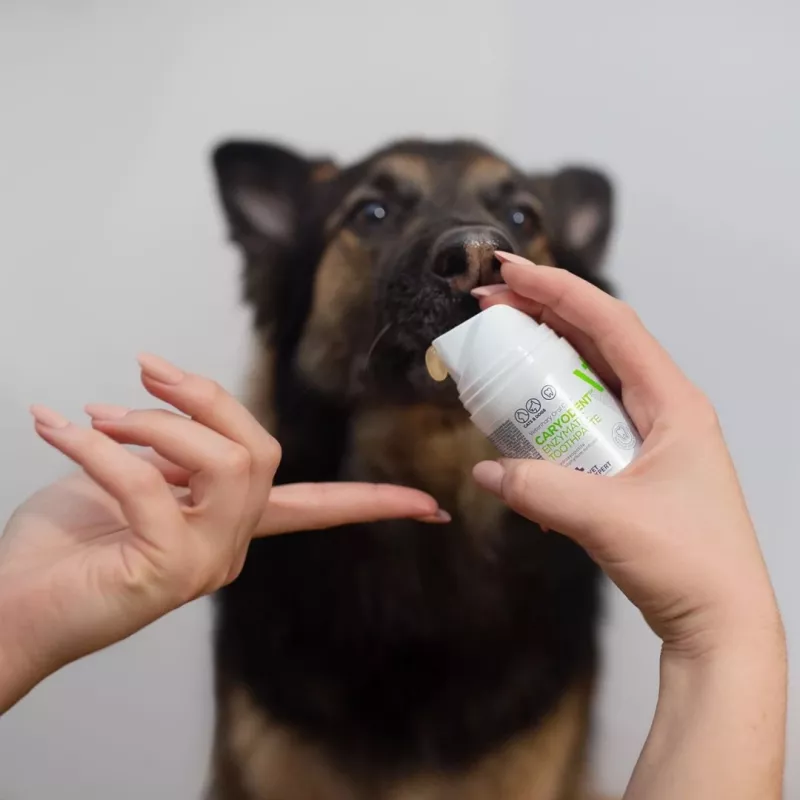 Koerte hambapasta VETEXPERT Caryodent Enzymatic 50 ml — veterinaarne suuhooldus, 50 g, suhkruvaba, gluteenivaba