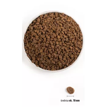 ORIJEN Six Fish Cat - kuiv kassitoit - 5,4kg
