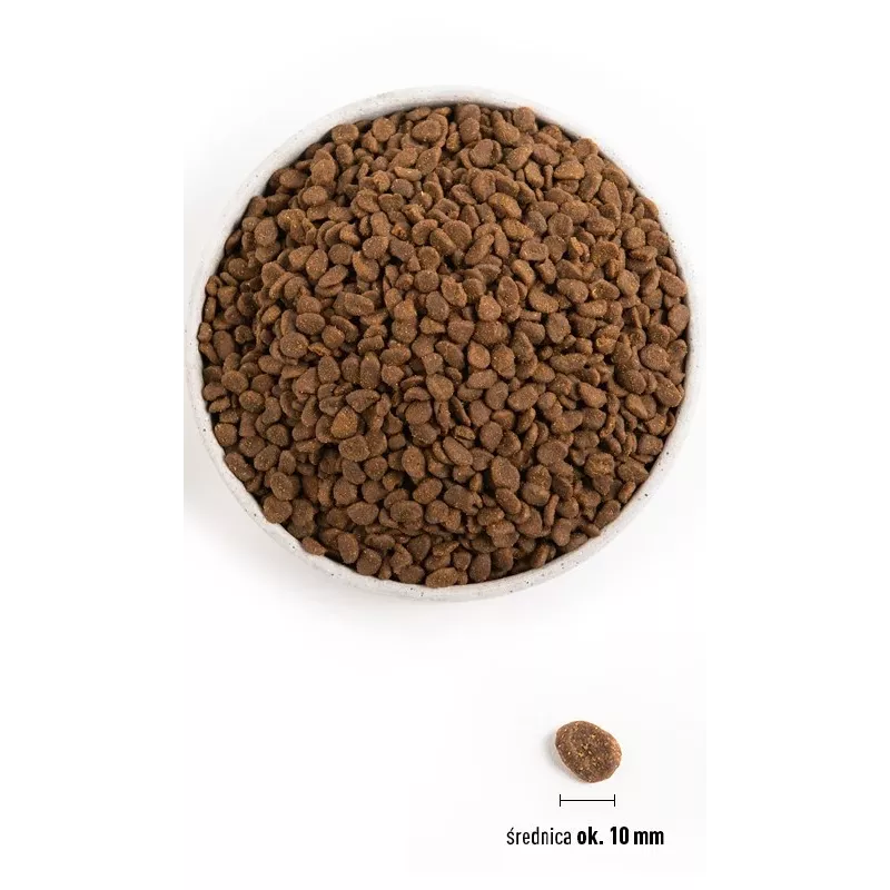 ORIJEN Six Fish Cat - kuiv kassitoit - 5,4kg