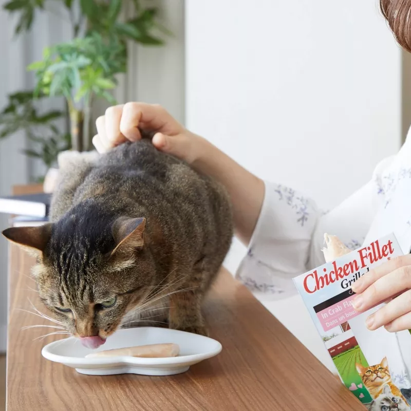 INABA Ciao grillitud kanafilee kanamaitselises puljongis - kassimaiused - 25g