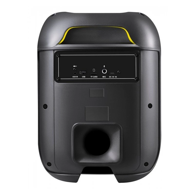 Bluetooth kõlar Boome R 65W
