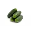 Wisconsin Cucumber SMR 58 Toraf köögiviljaseemned, 5g pakend