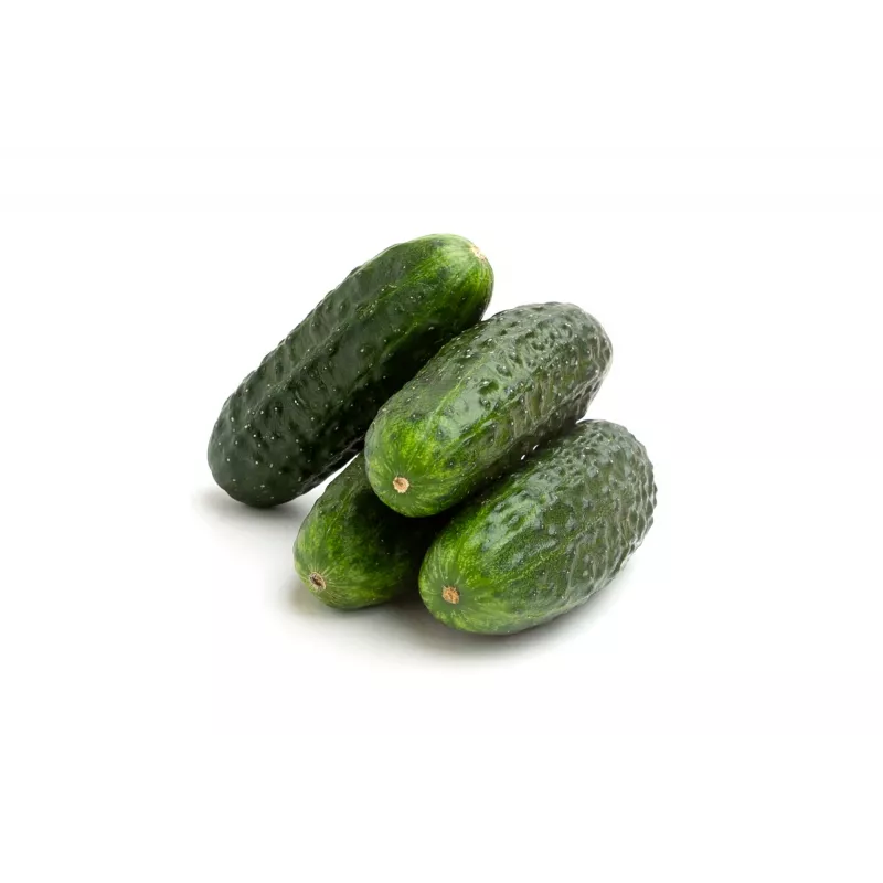 Wisconsin Cucumber SMR 58 Toraf köögiviljaseemned, 5g pakend