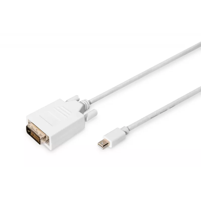 DIGITUS ASSMANN - Adapterkaabel - Mini DisplayPort (M)