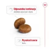 Royal Canin Maxi Adult 5+ kuivtoit koertele, 15 kg