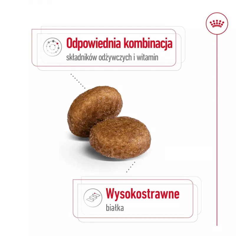 Royal Canin Maxi Adult 5+ kuivtoit koertele, 15 kg