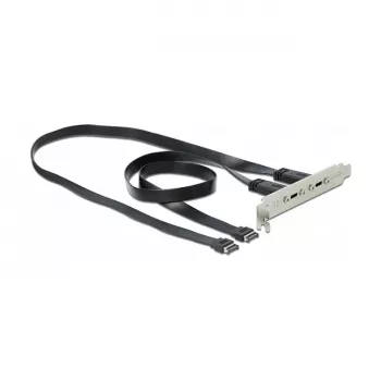 Pesa kronstein DeLOCK 89935 kahe USB USB-C pordiga