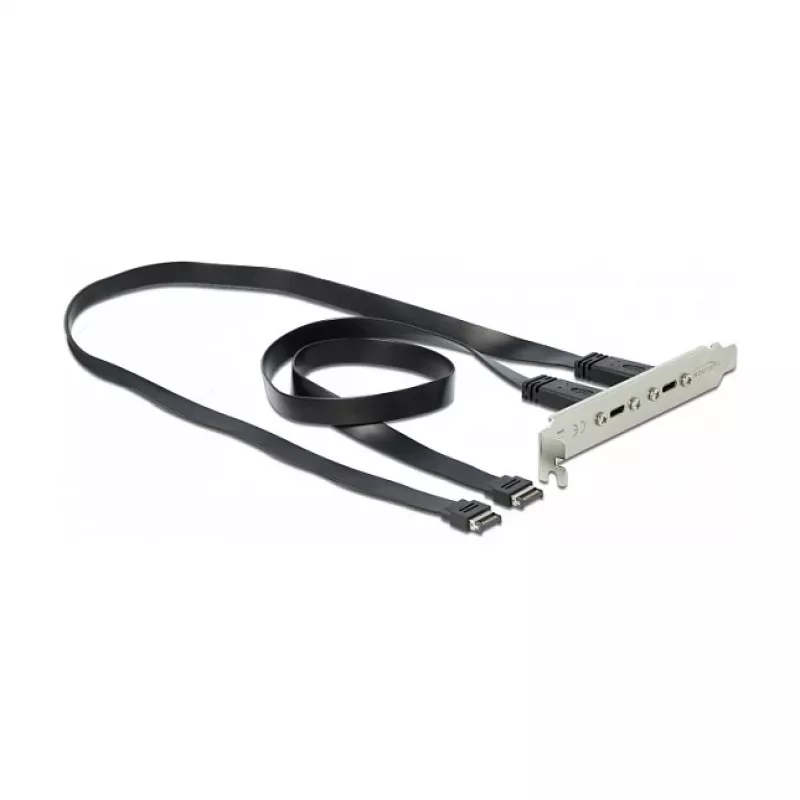 Pesa kronstein DeLOCK 89935 kahe USB USB-C pordiga