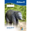Kunstipaberi plokk Pelikan 224840