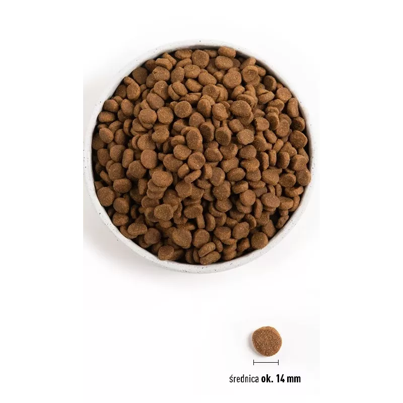 ORIJEN Dog Originaal - kuiv koeratoit - 2kg