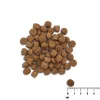 Kuiv koeratoit VETEXPERT Raw Paleo Healthy Grain Puppy lõhe ja oder 10 kg, valk 29% rasv 17% niiskus 9%