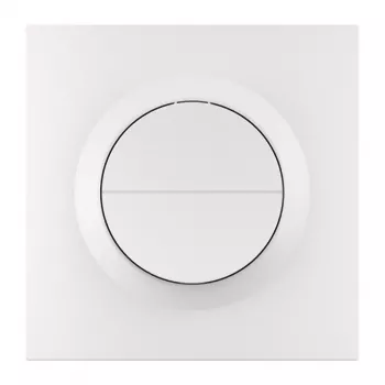 Kahe kanaliga ZigBee seinüliti Sonoff MINI-ZB2GSL-E — kompaktne seespidine nutilüliti, kaks releekanalit, neutraaljuhtmeta