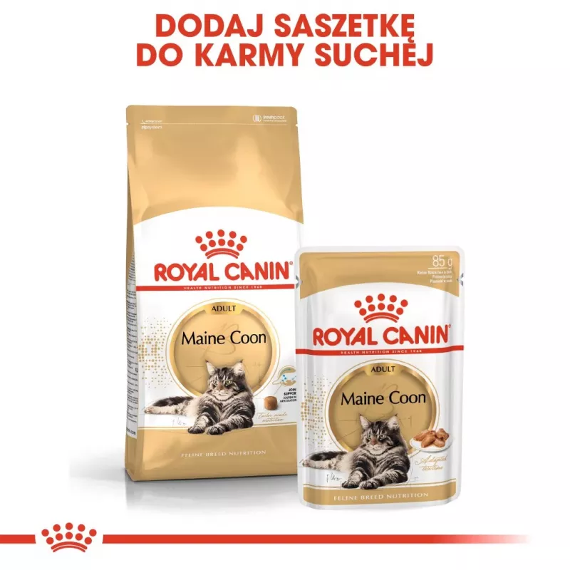 Kuiv kassitoit Royal Canin Maine Coon Adult 10 kg — linnuliha (kana), 31% valku, 20% rasva