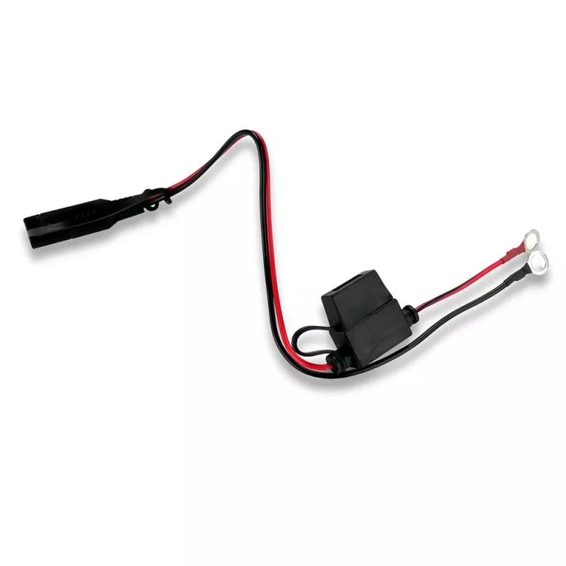 Autoakulaadija everActive CBC1 6V/12V