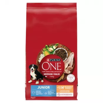 PURINA ONE MED/MAX Junior Kana ja riis 7kg