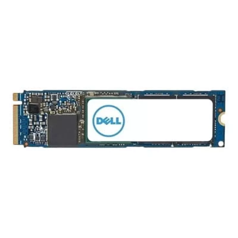 DELL AC037409 sisemine pooljuhtketas 1 TB M.2 PCI Express 4.0 NVMe