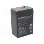 Pliiaku taaslaetav aku europower EP4.5-6 6V 4.5Ah