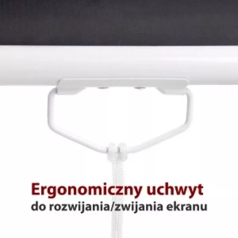 Manuaalne ekraan 4:3 poolautomaatne 120 244x183cm MS-120 4:3