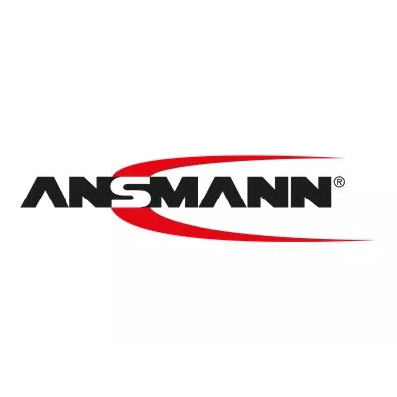 Sisemine akulaadija Ansmann 1001-0013