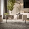 Kohvilaud Cama LUCCA pink/laud 100x55x46 kašmiir, ristkülikukujuline hall pealispind