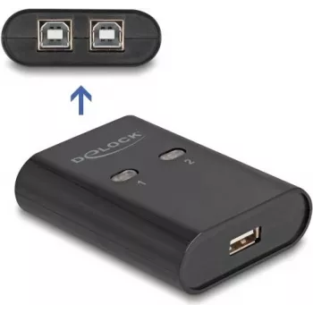 DeLOCK USB 2.0 välisseadme jagamislüliti