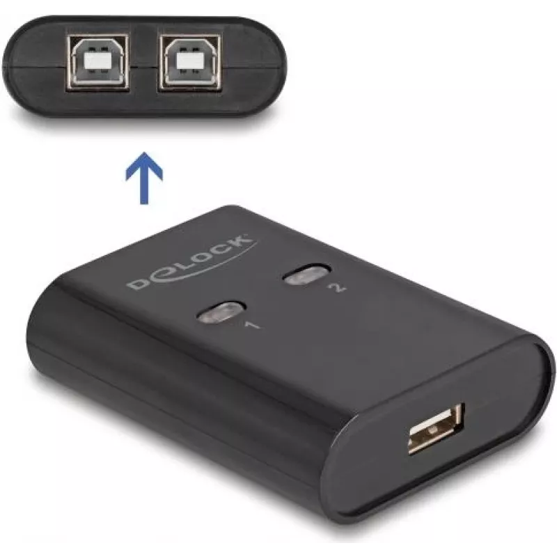 DeLOCK USB 2.0 välisseadme jagamislüliti
