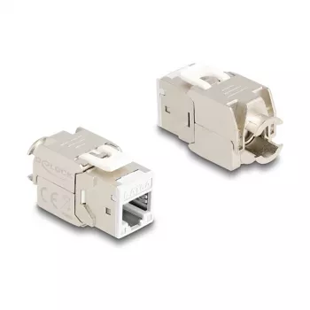 DeLOCK 88119 võtmemoodul lame valge RJ-45 10 tk