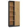 Kontoriraamaturiiuli pealne e-pood RD-80 ANT/ART KPL, 10 riiulit, puitlaastplaat, 800×300×1820 mm