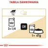 ROYAL CANIN FBN Maine Coon - kassikonserv - kotike 12x 85g