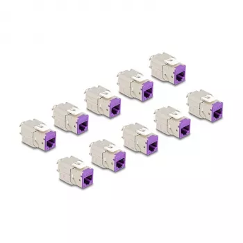 DeLOCK keystone moodul 88121 lame Lilla RJ-45 10 tk