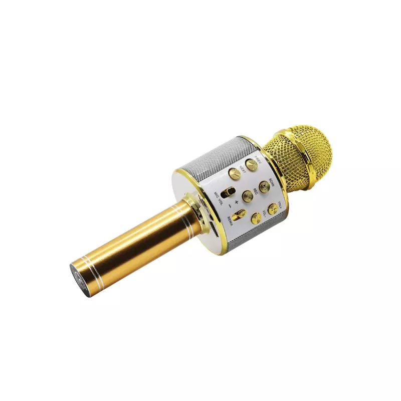 Mikrofon MANTA MIC10-G Gold kardioidne kaasaskantav — kardioidne kondensaator, pihuformaadis
