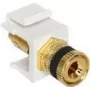 Keystone-moodul DeLOCK 86303
